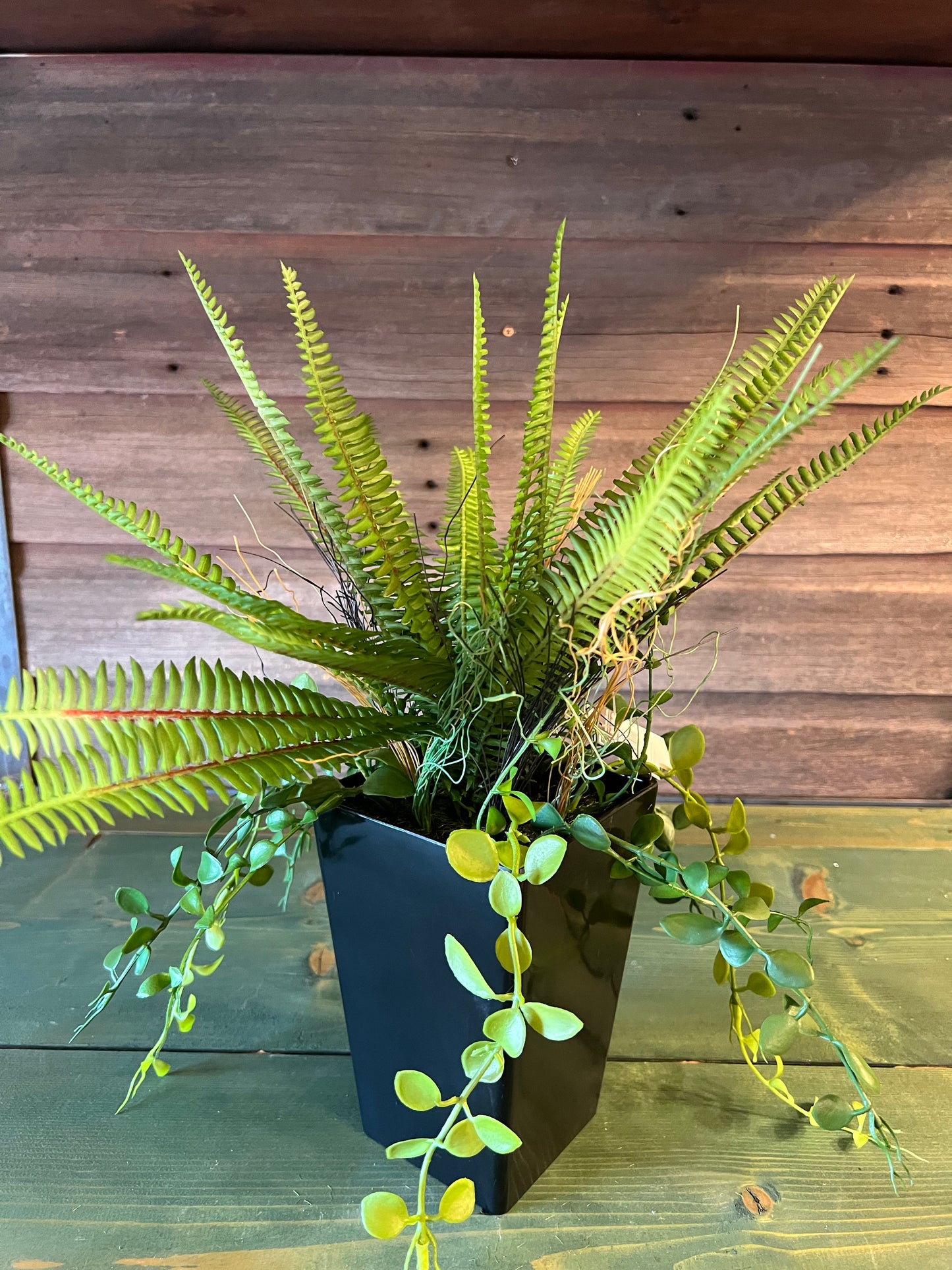 Potted Fern Tall Black Pot