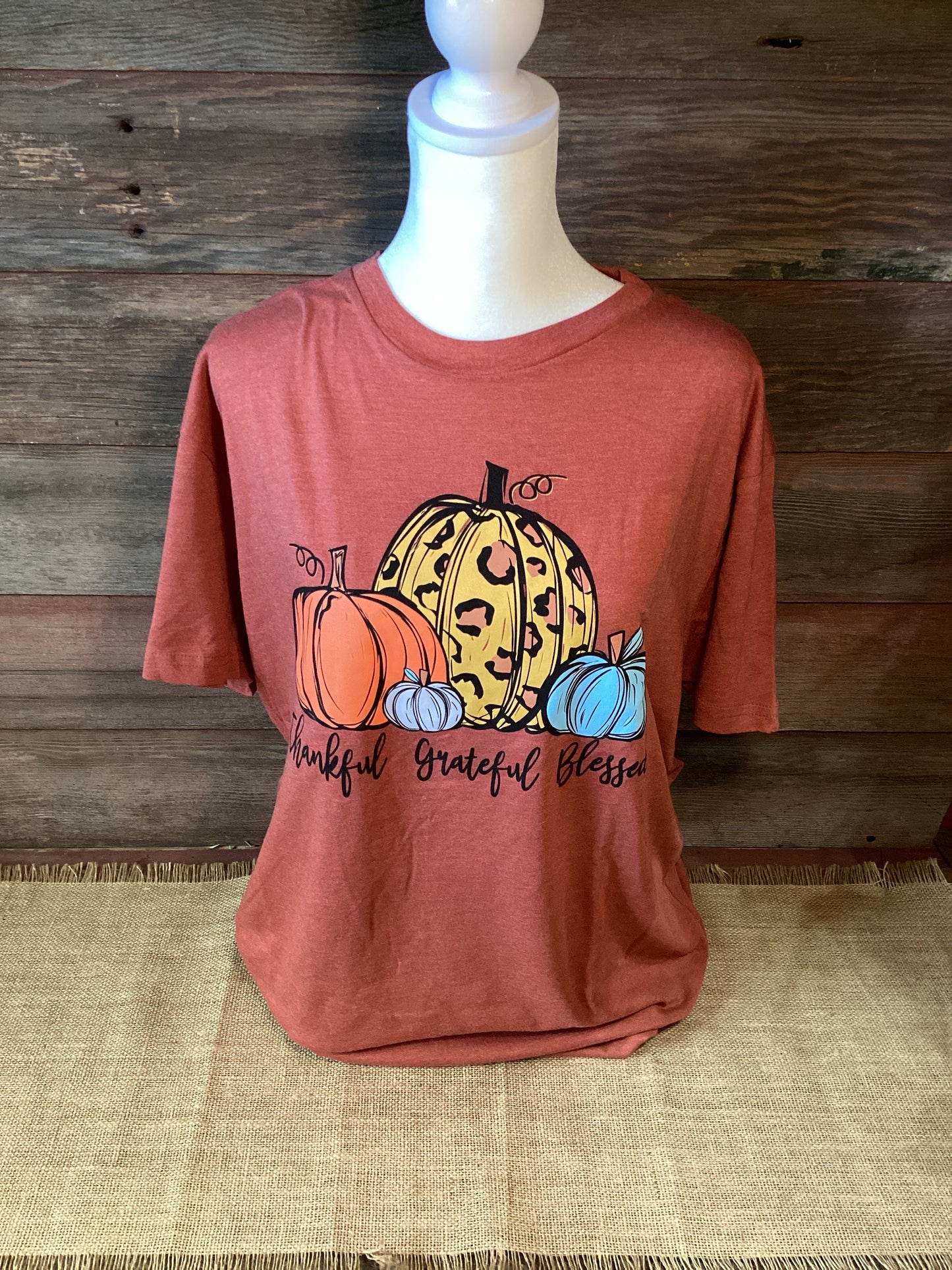 Christian T-Shirt Size X-LARGE