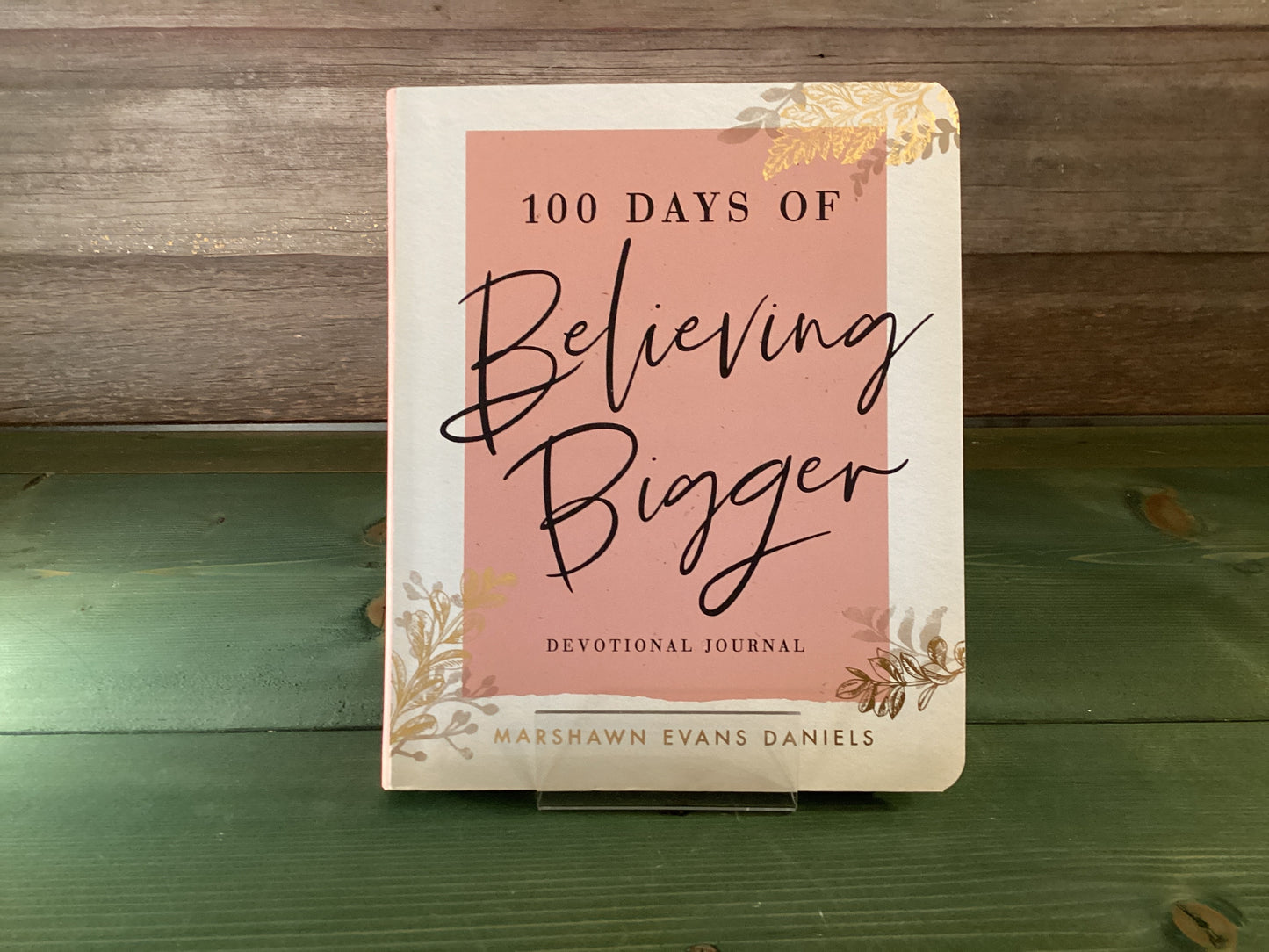 100 Days of Believing Bigger Devotional Journal