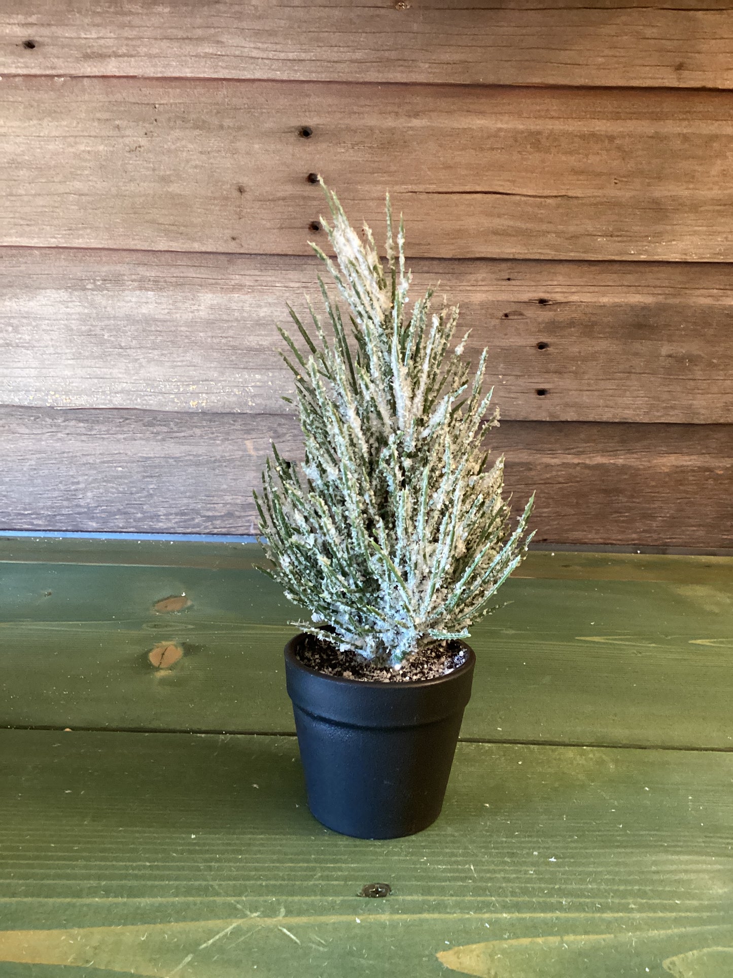 Sullivans Potted Flocked Tree (sm)