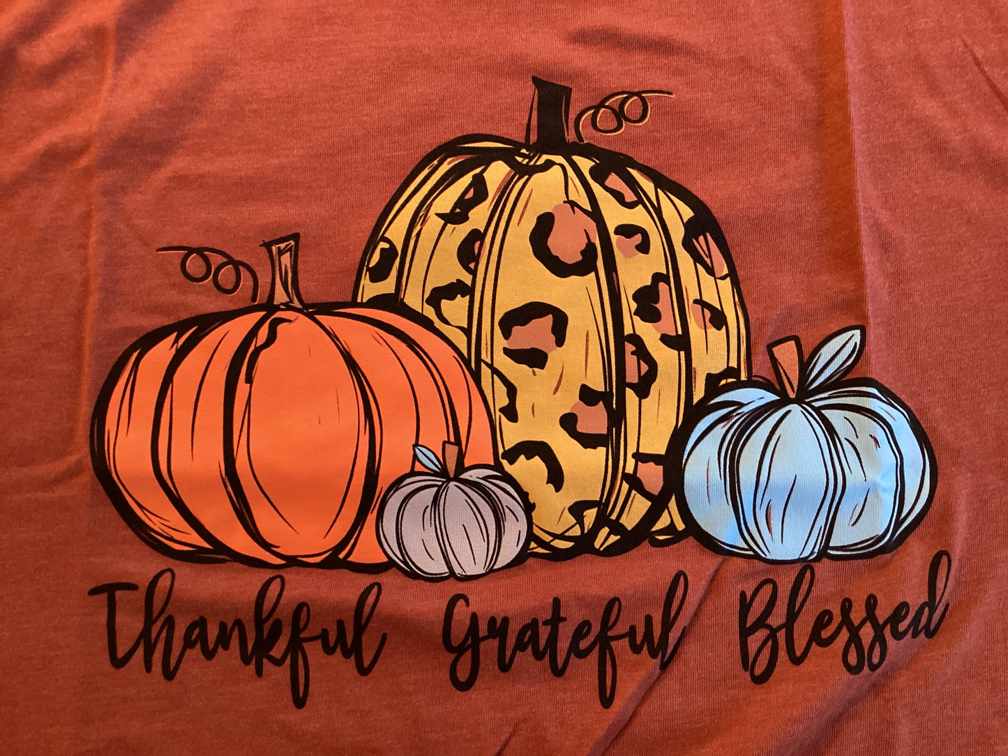 Christian T-Shirt Size 2XL