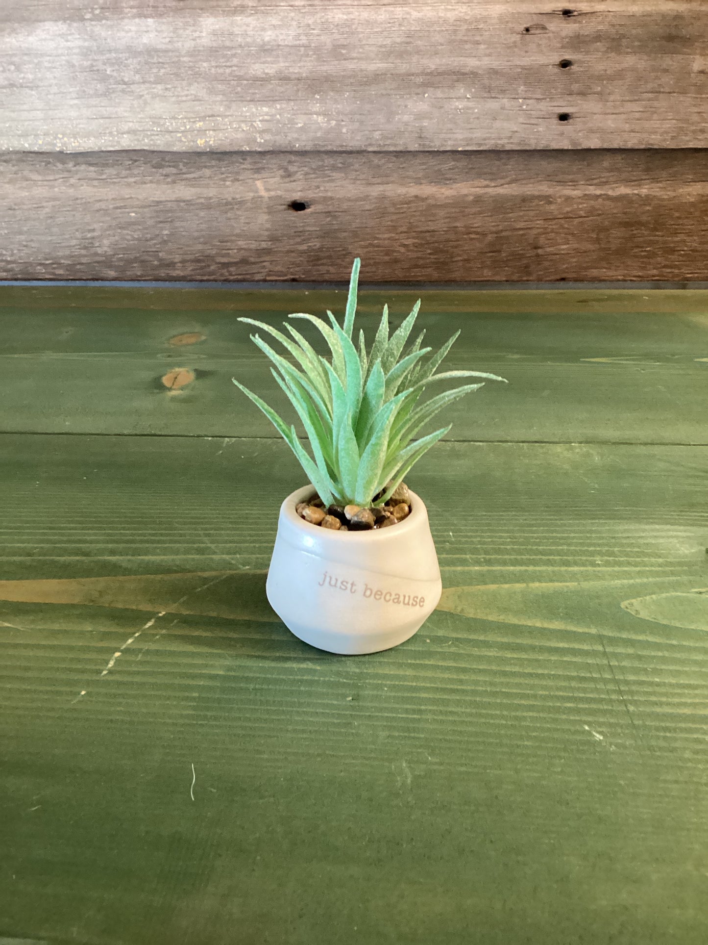 Mini Succulent Just Because Grateful