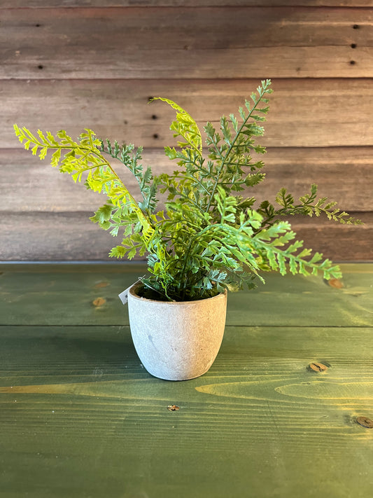 Potted Fern 9"
