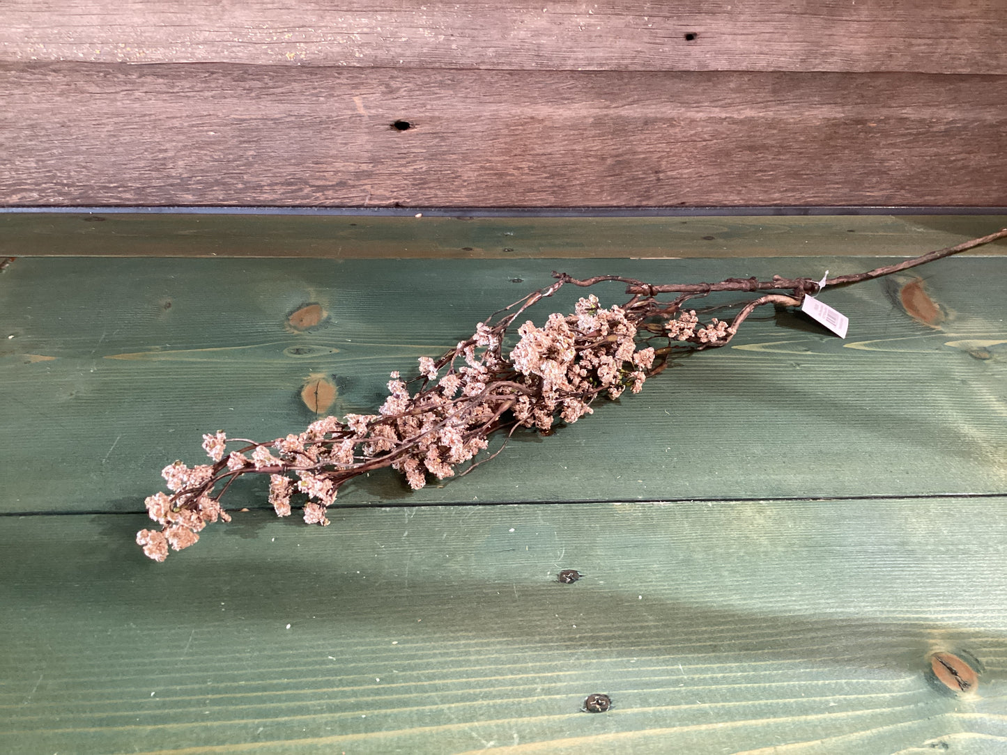 Fall Branch