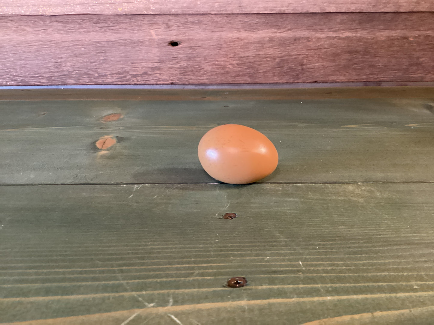 Farm Eggs Resin