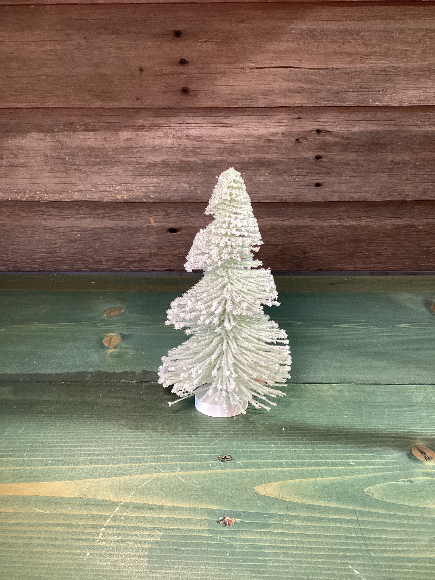 Bottle Brush Tree Sage (sm)