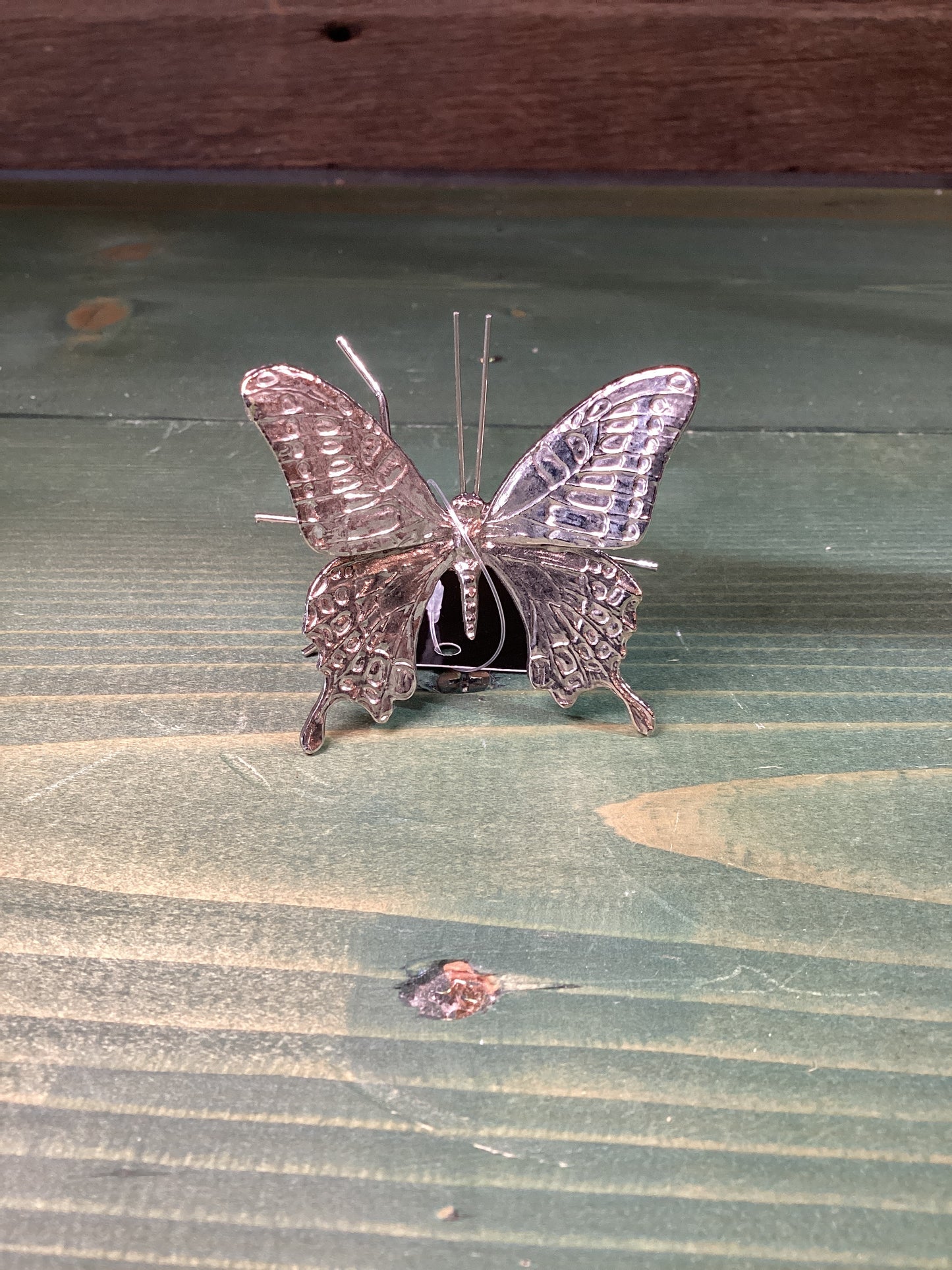 Silver Butterfly (sm)