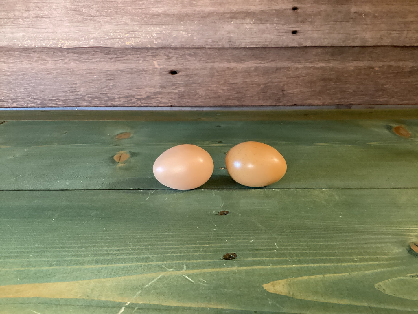Farm Eggs Resin