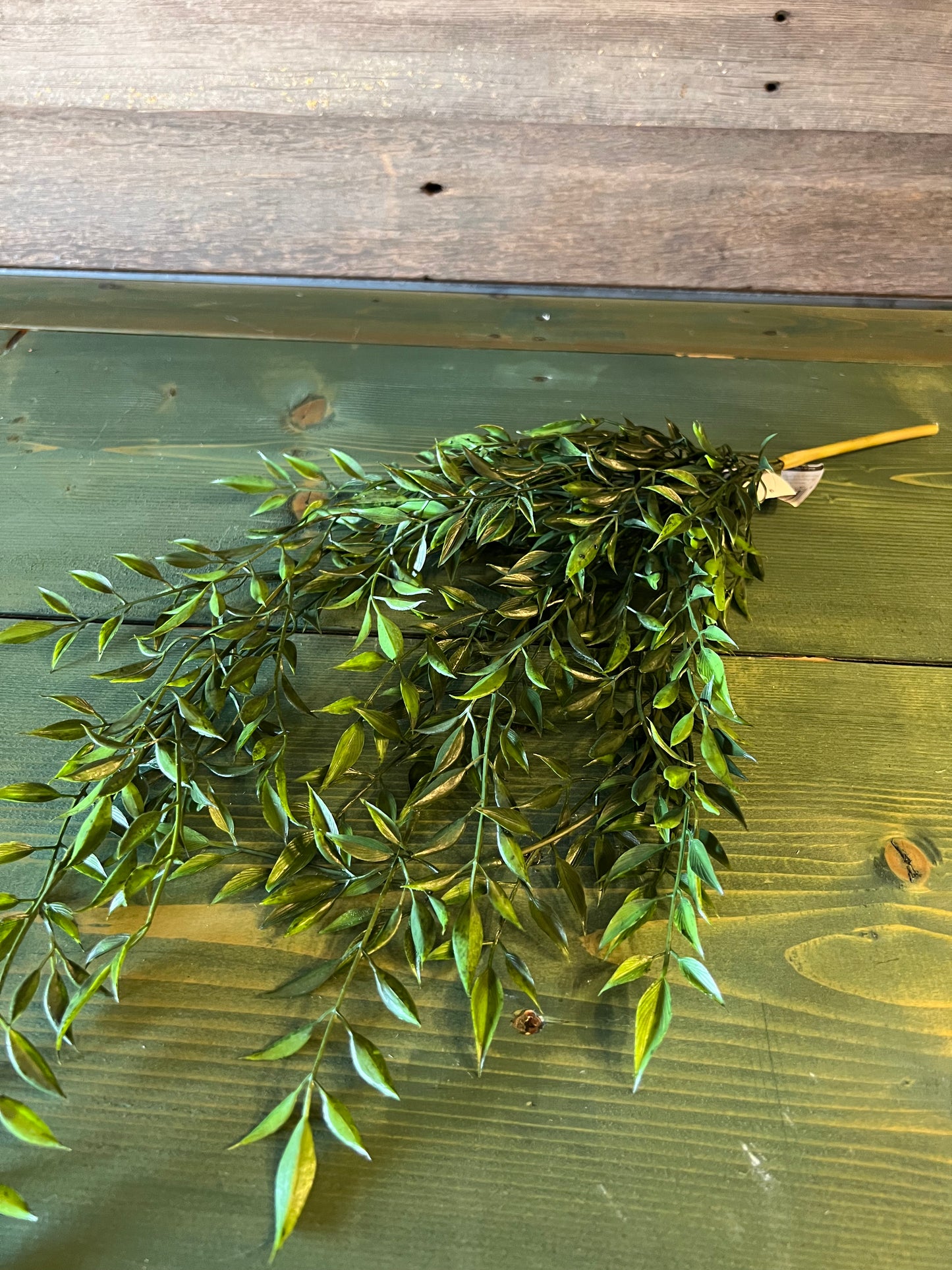 Ruscus Vine Spray