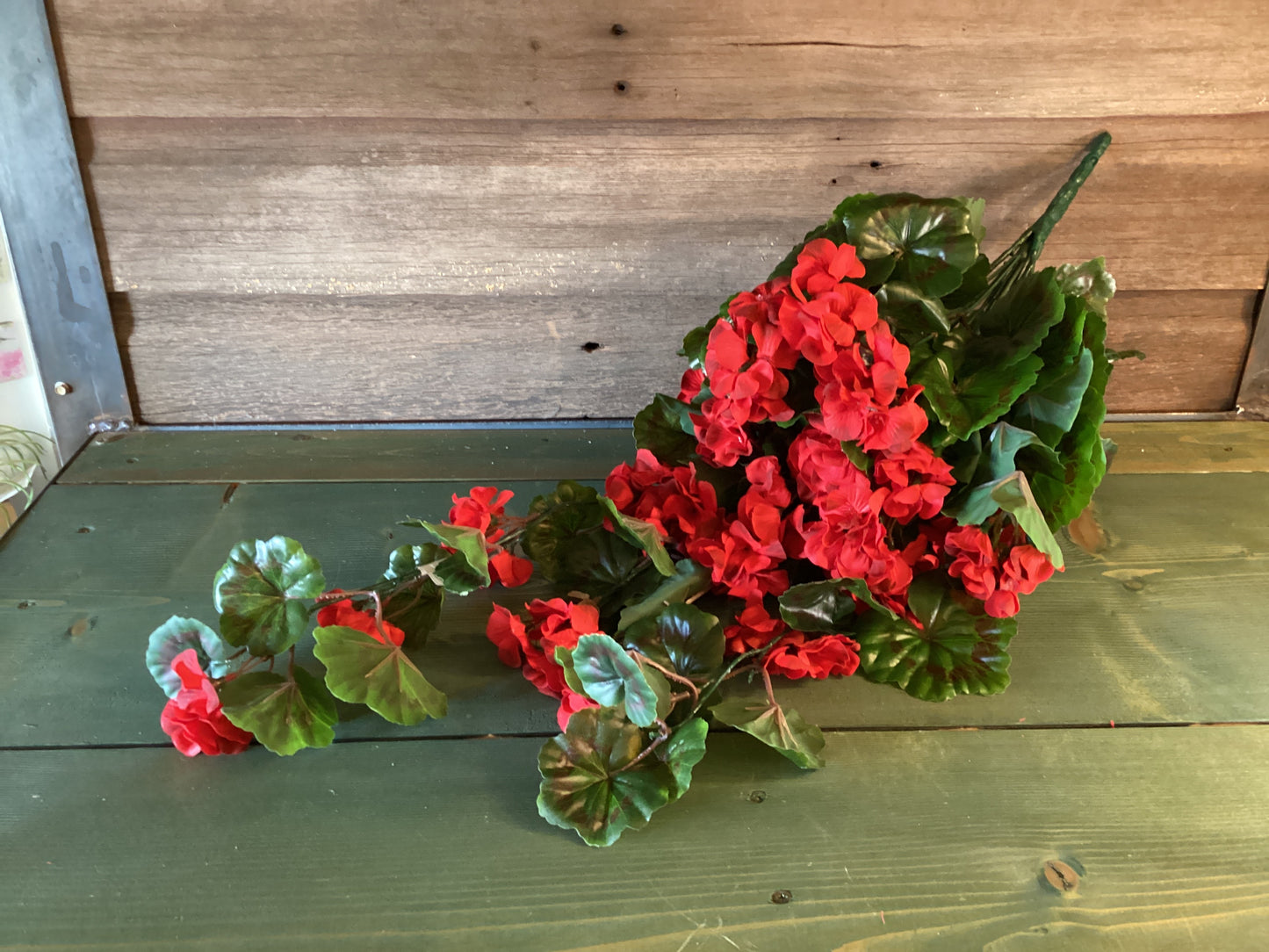 UV Resistant Geranium Hanging Vine