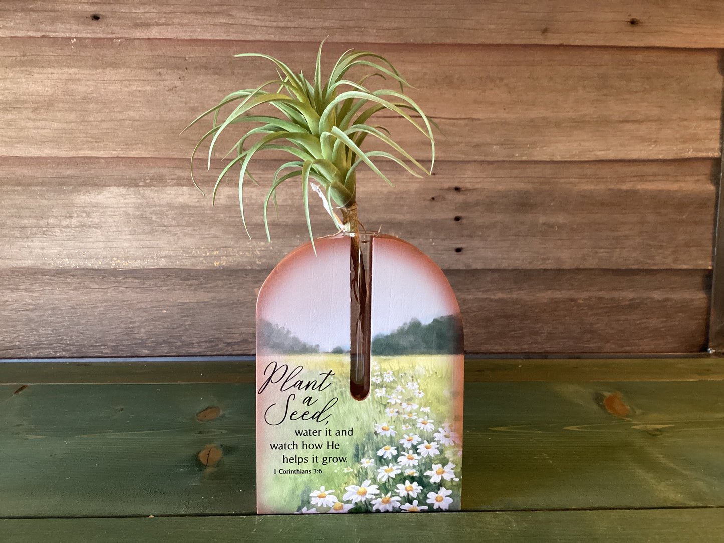 Propagation Stand Plant A Seed