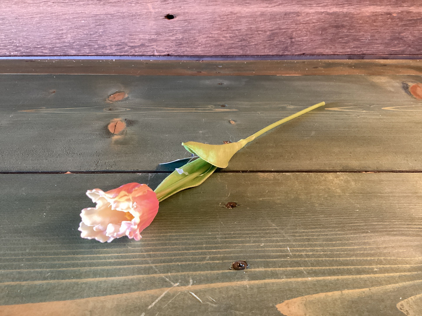 Feel Real Tulip Parrot Pink/ Cream