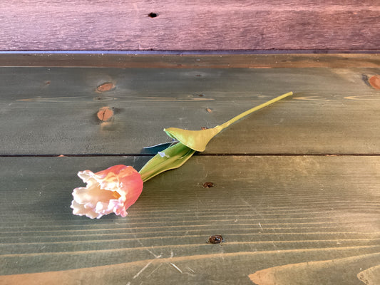 Feel Real Tulip Parrot Pink/ Cream