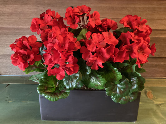 UV Resistant Red Geranium Planter