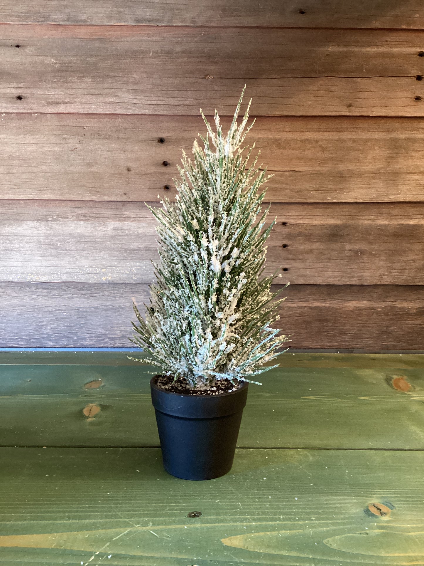 Sullivans Potted Flocked Tree (lg)