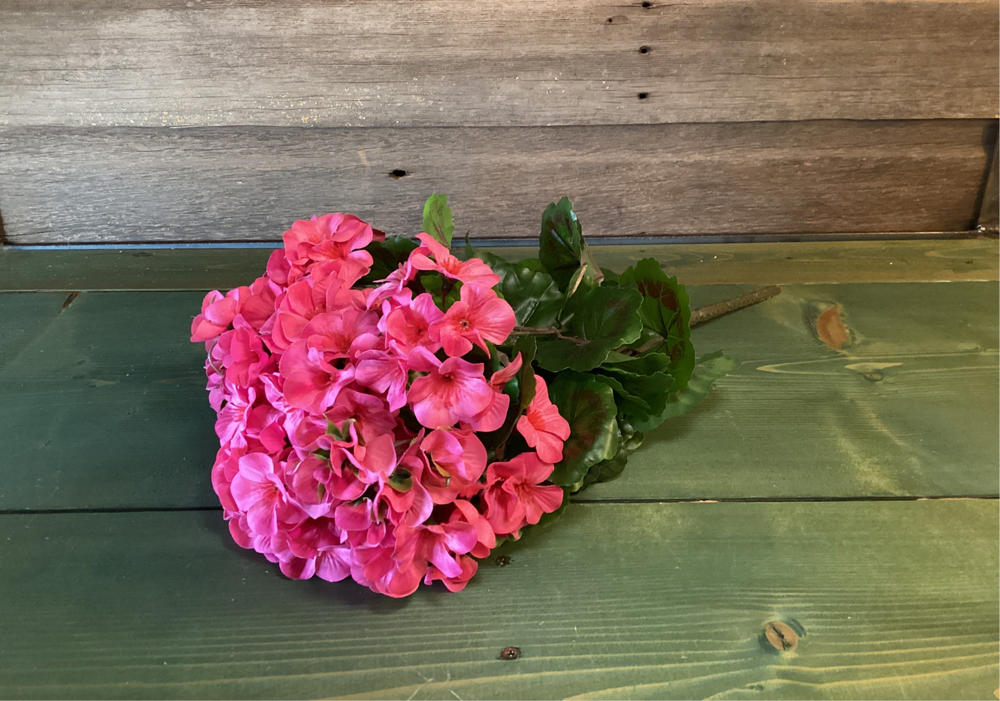 UV Resistant Geranium Bush