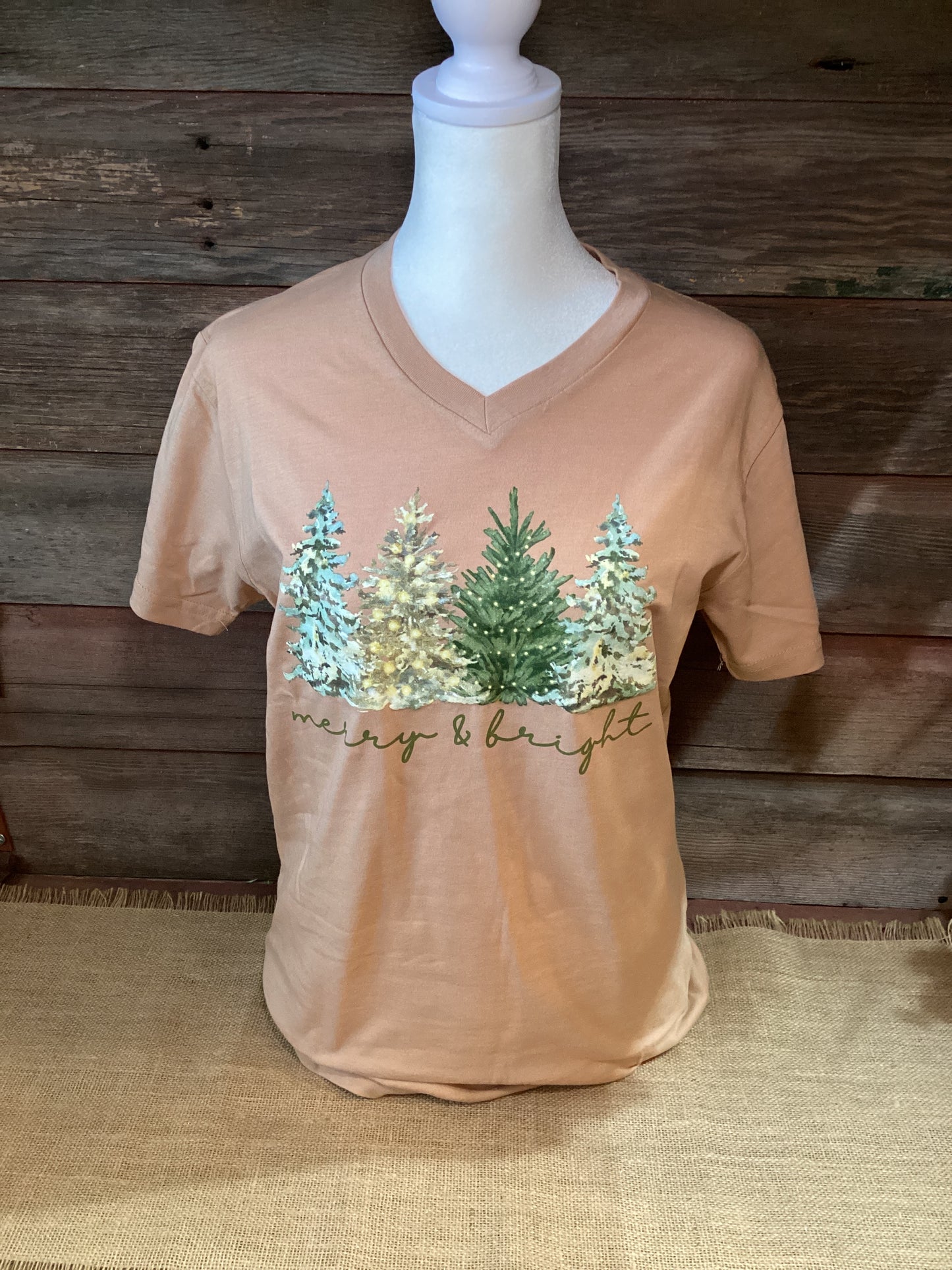 Christian T-Shirt Size SMALL