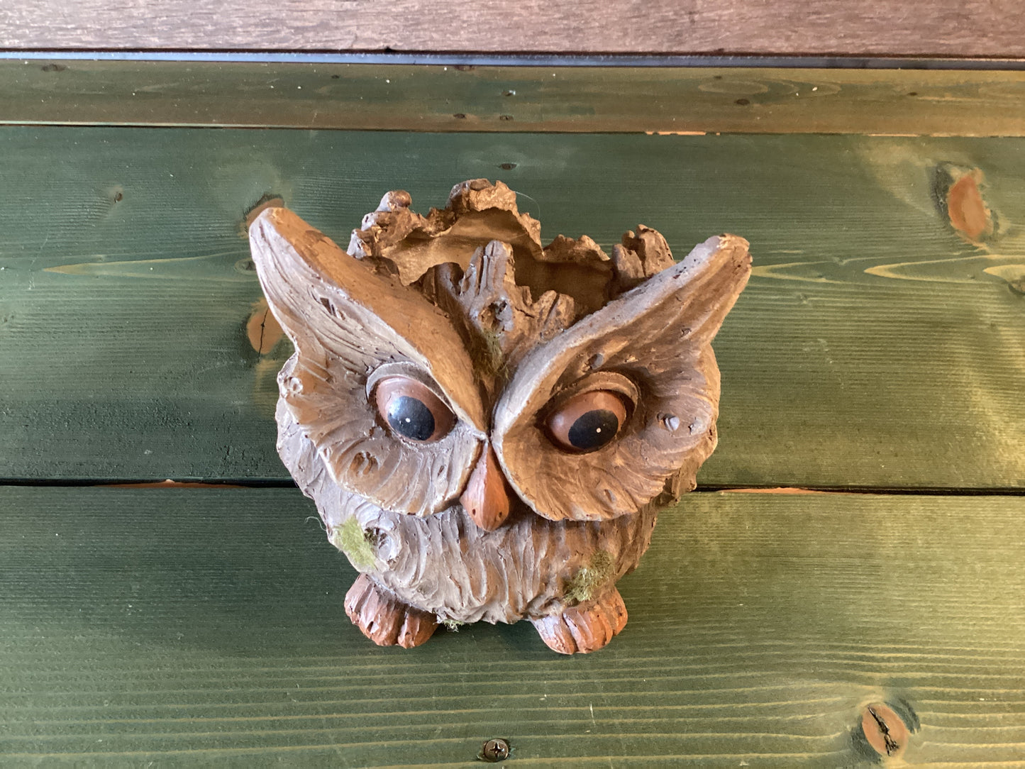 Wooden Resin Owl Planter