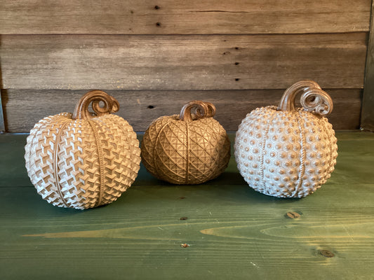 Beige Textured Pumpkins
