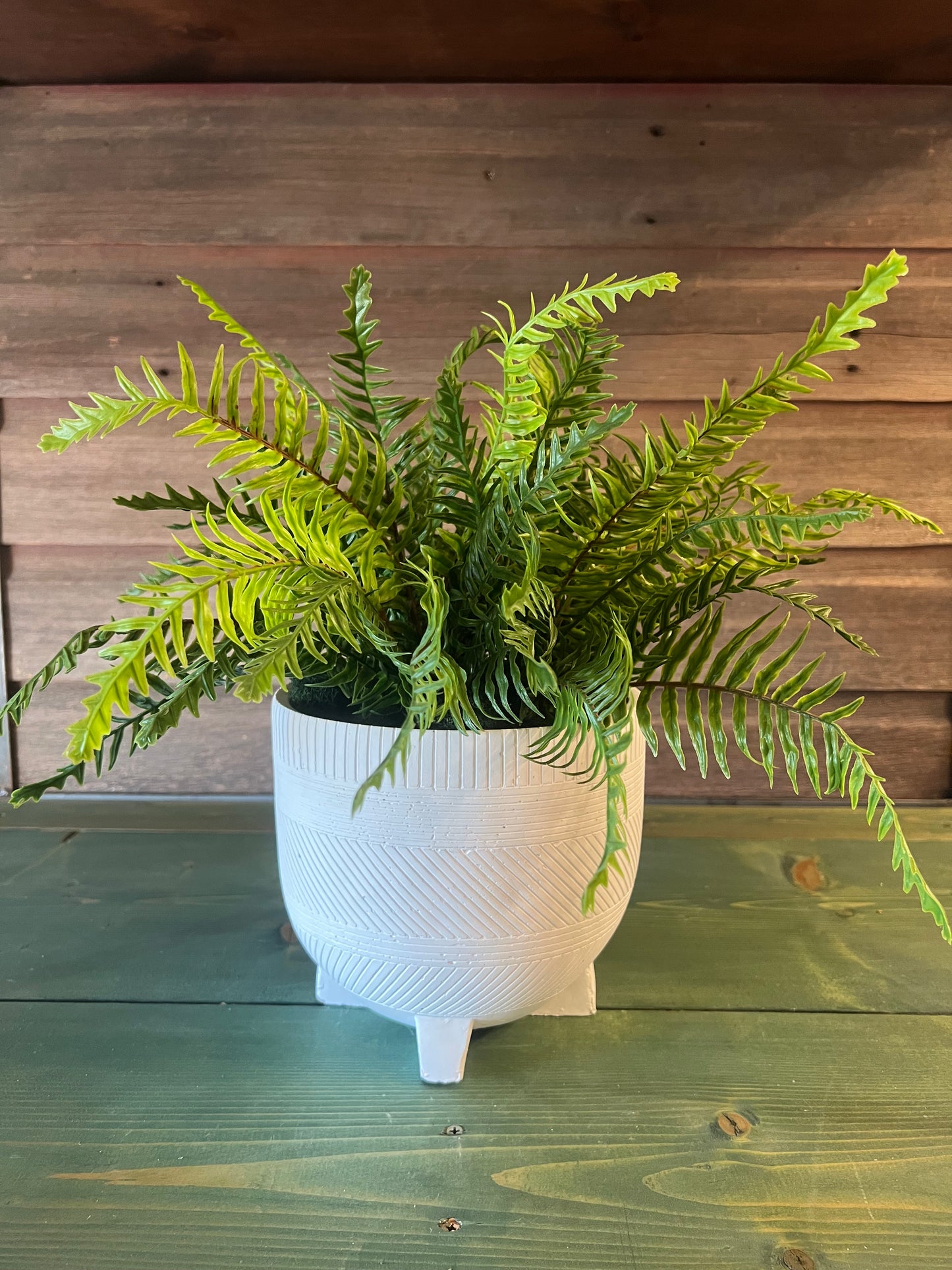 White Winifred Pot w/ Fern