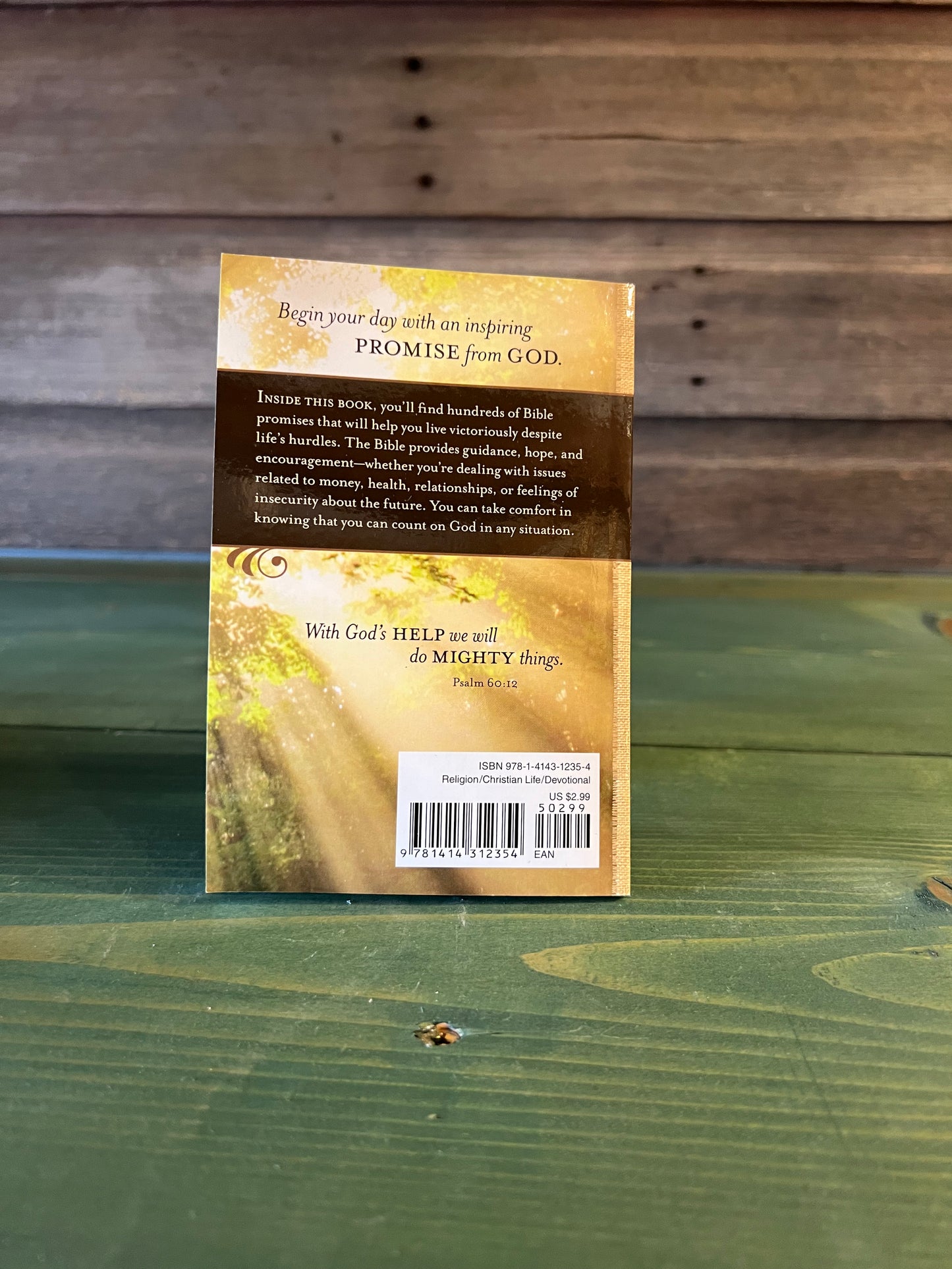 NLT Bible Promise Book for Tough Times