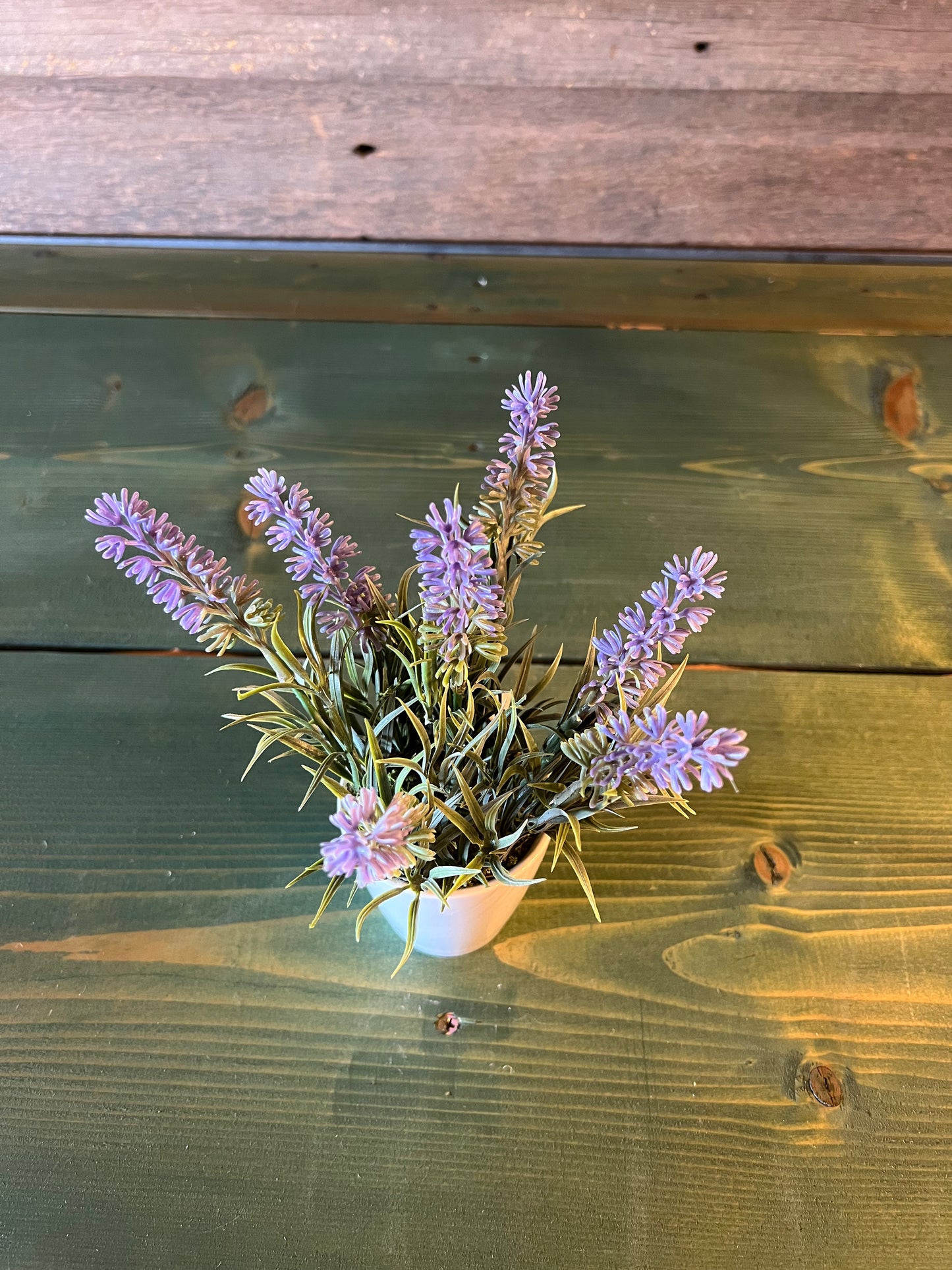 Purple Lavender in White Pot