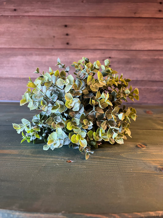 Boxwood Orb