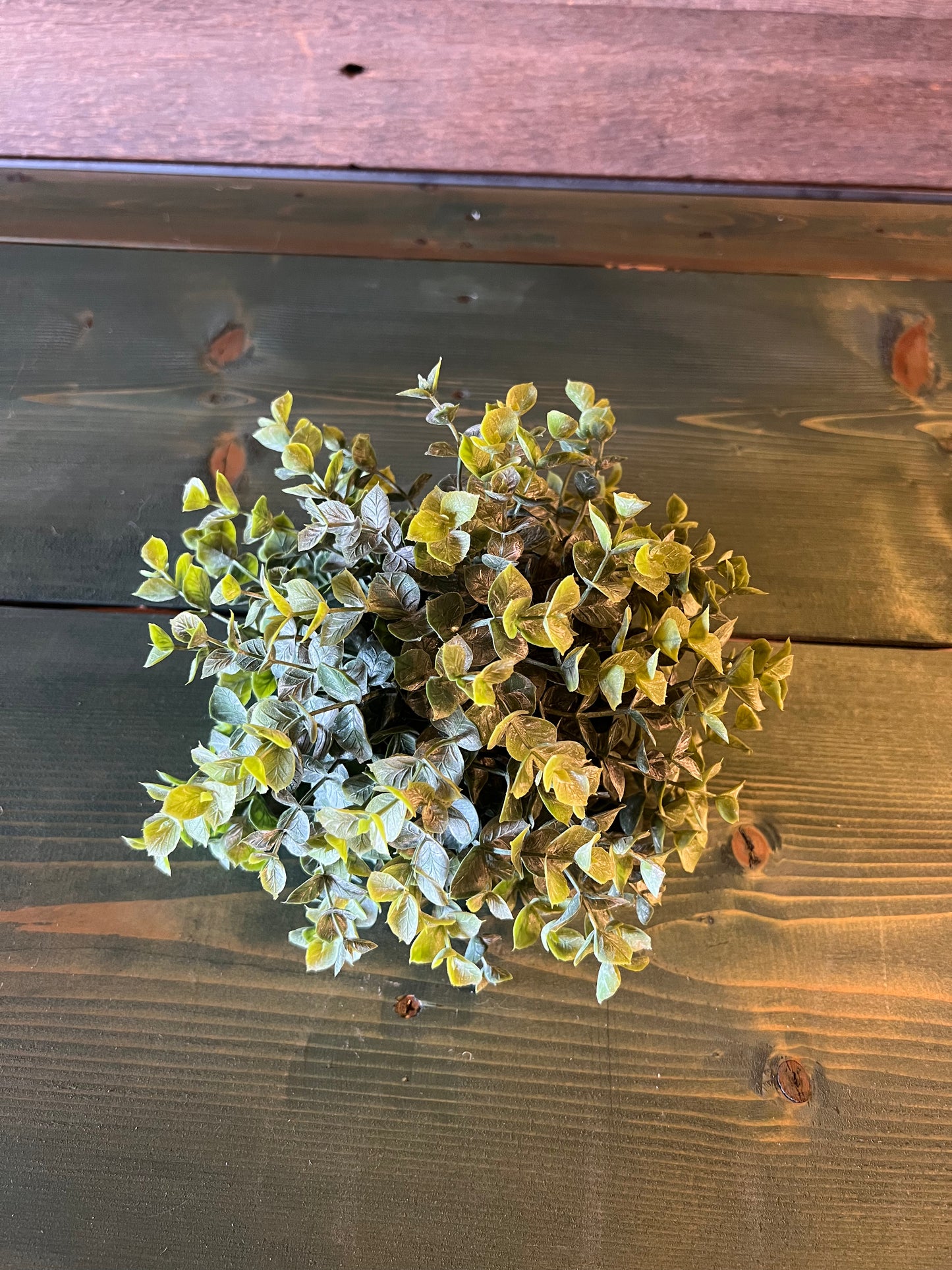 Boxwood Orb