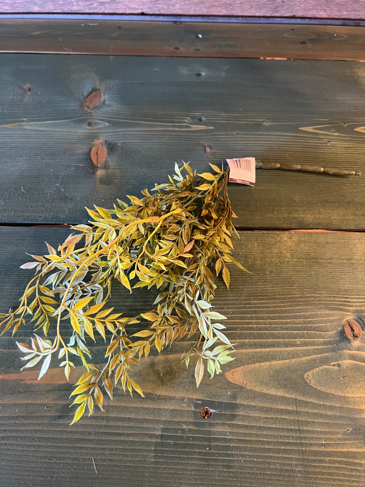 Sullivans Wisteria Bush Spray