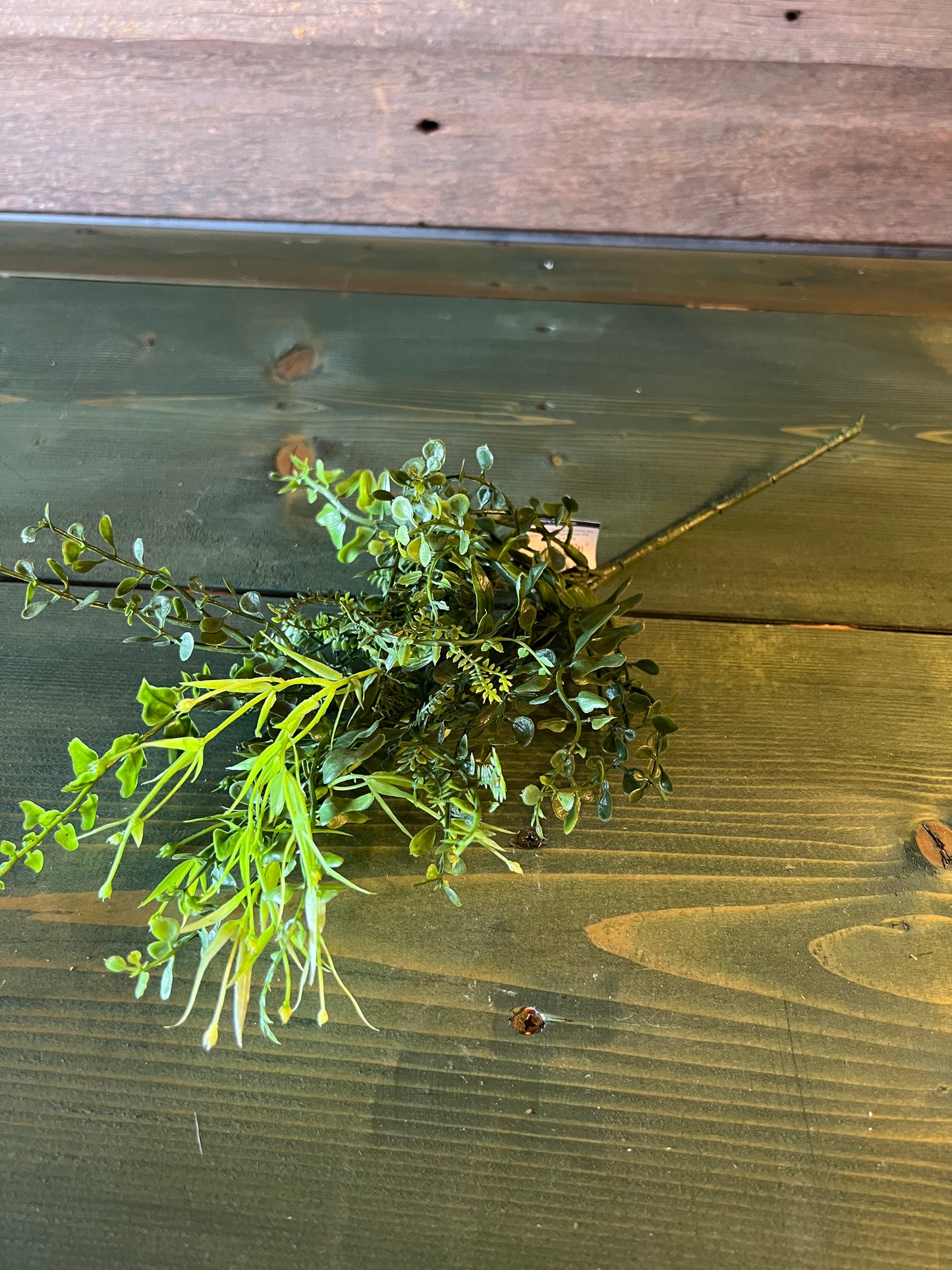 Sullivans Spanish Fern Spray (lg)