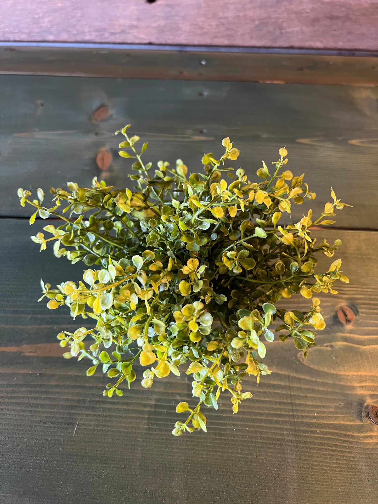 Baby Grass Orb Green (sm)