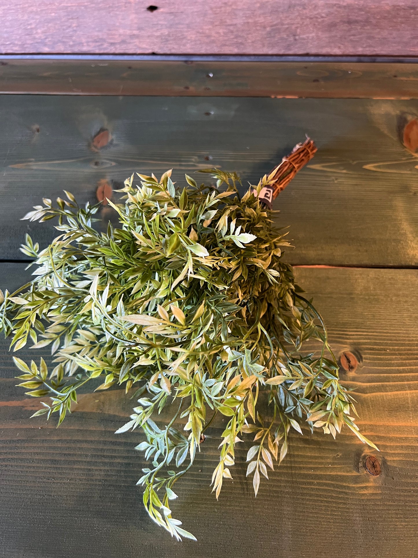 Sullivans Wisteria Bundle