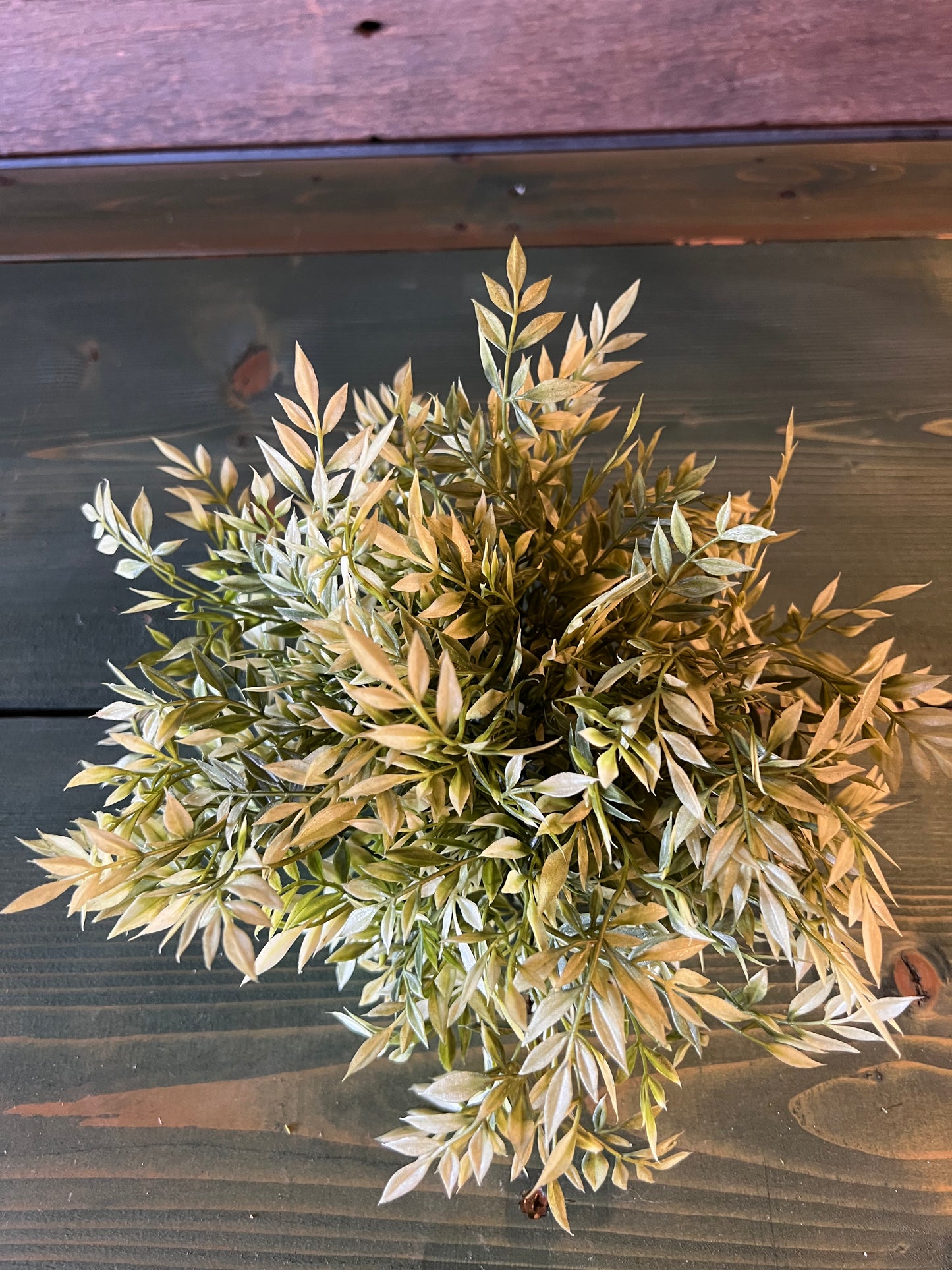 Sullivans Wisteria Orb