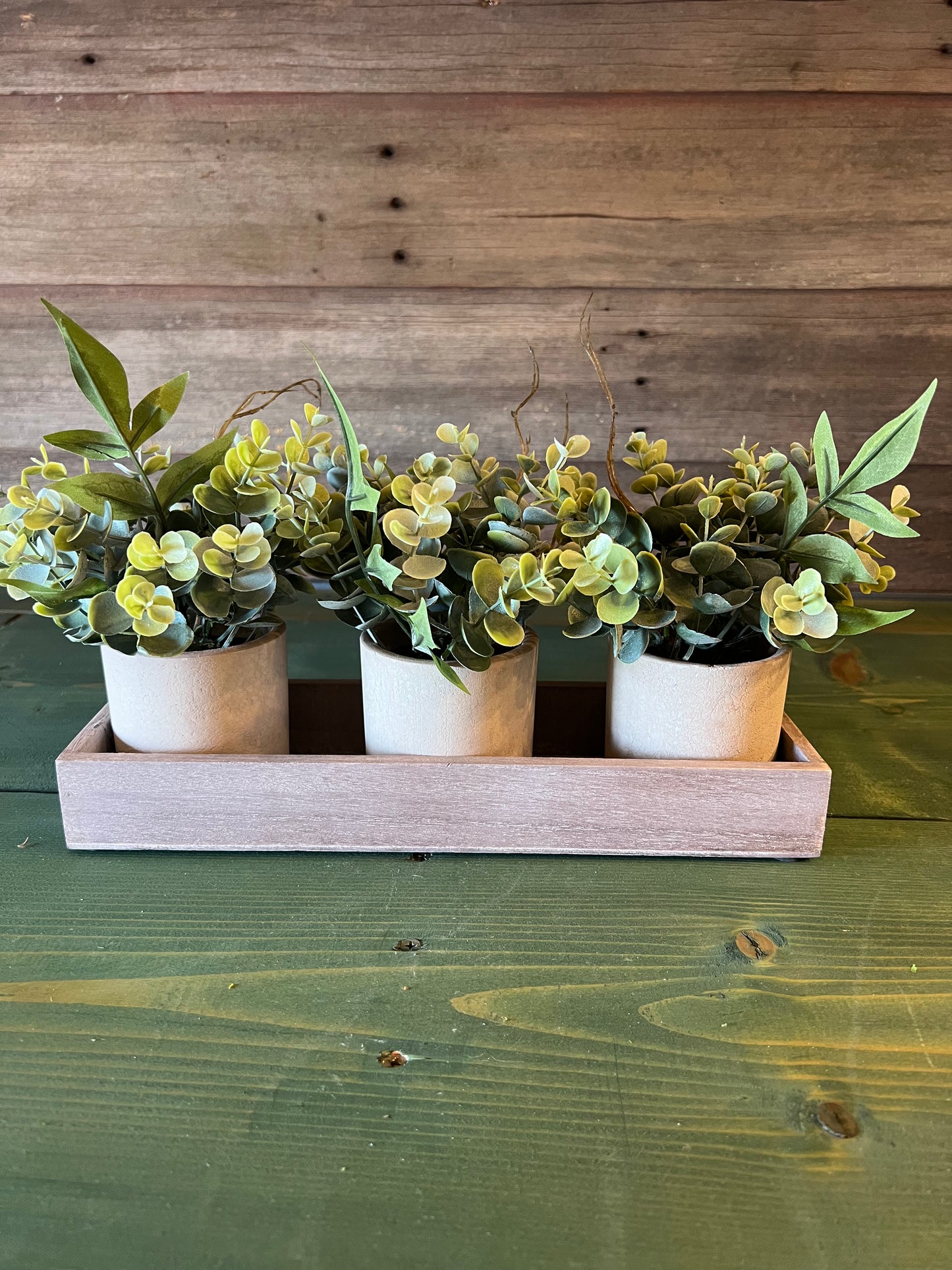 Potted Eucalyptus Arrangements