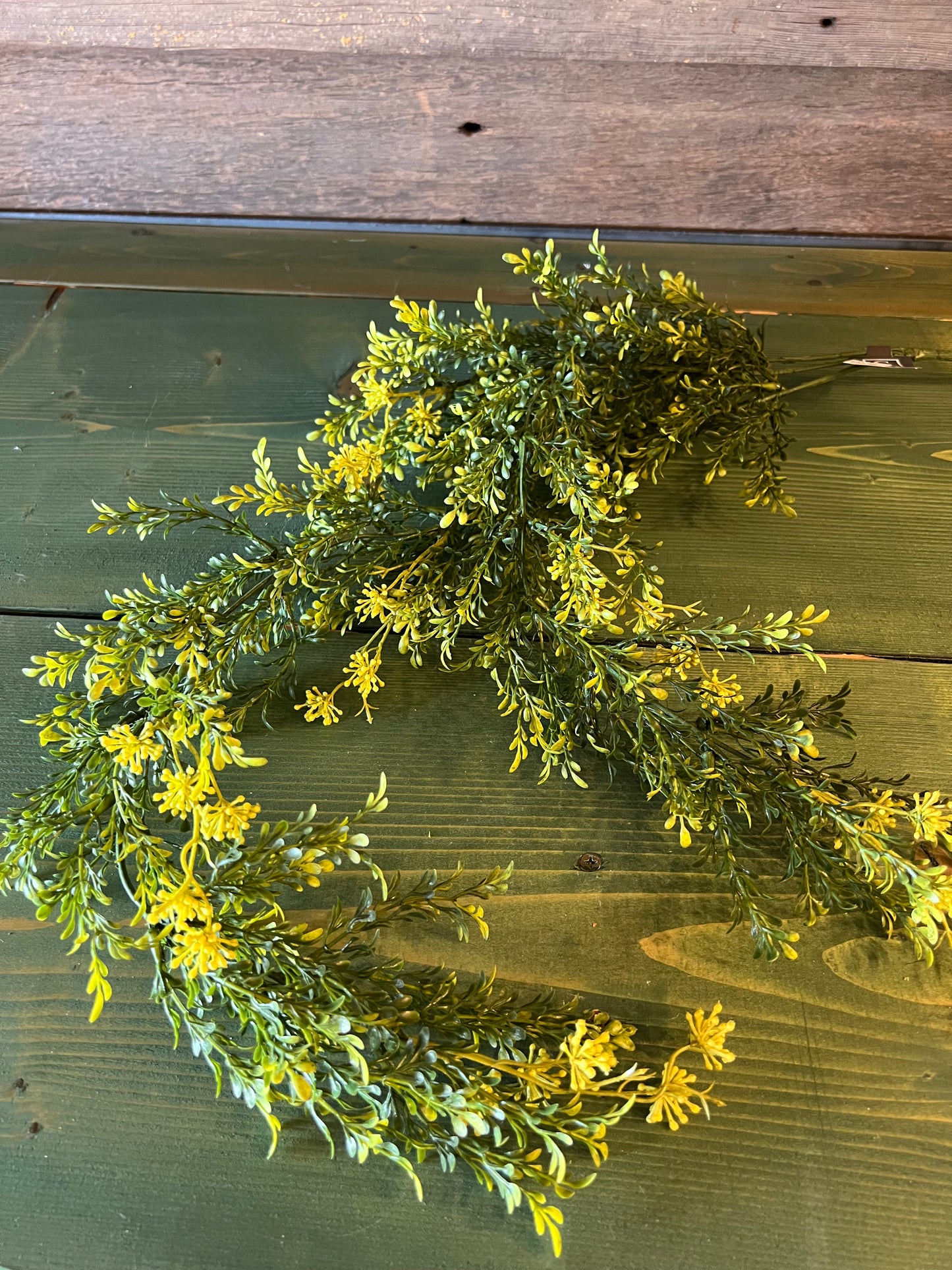 Sullivans Tealeaf Vine