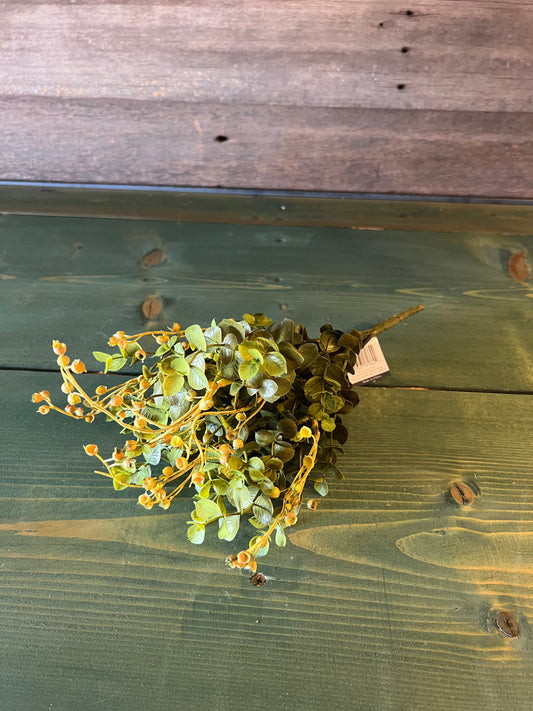 Eucalyptus Pick
