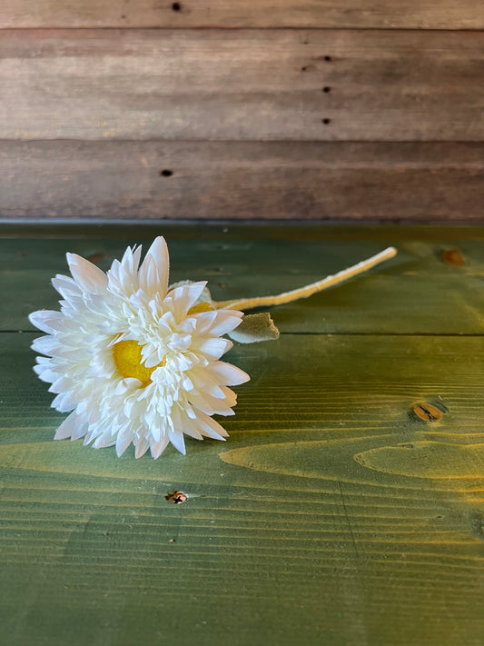 White Sunflower Stem