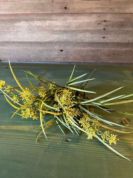 Fall Mountain Grass