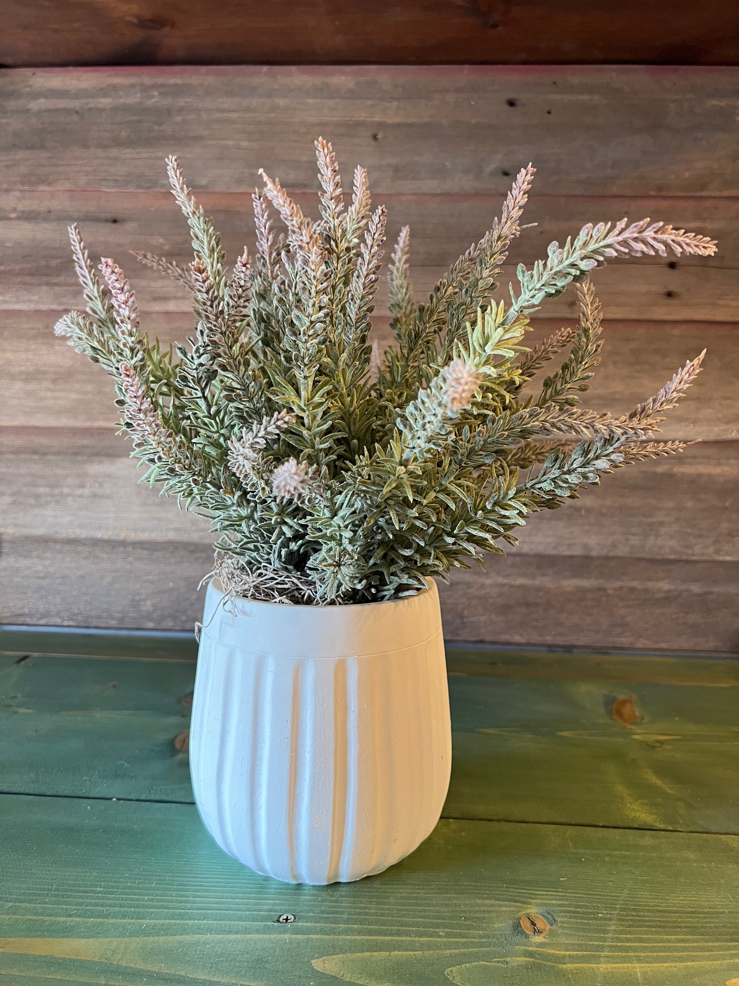 White Ceasar Pot w/ Lavendar