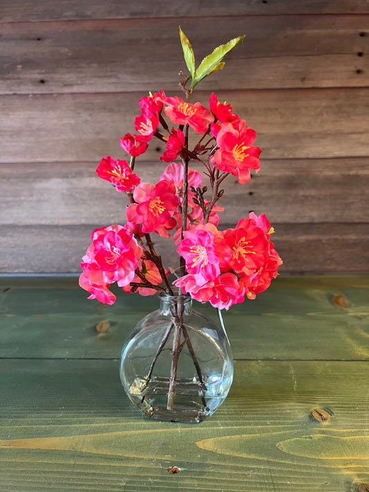 Fuchsia Cherry Blossom in Glass Vase