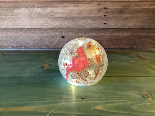 Cardinal Light Up Globe