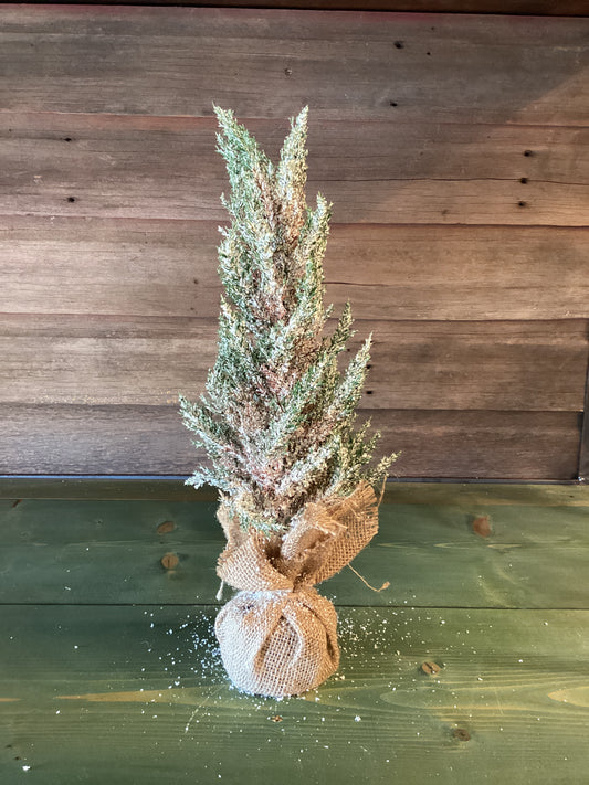 Icy Cedar Tree 18"