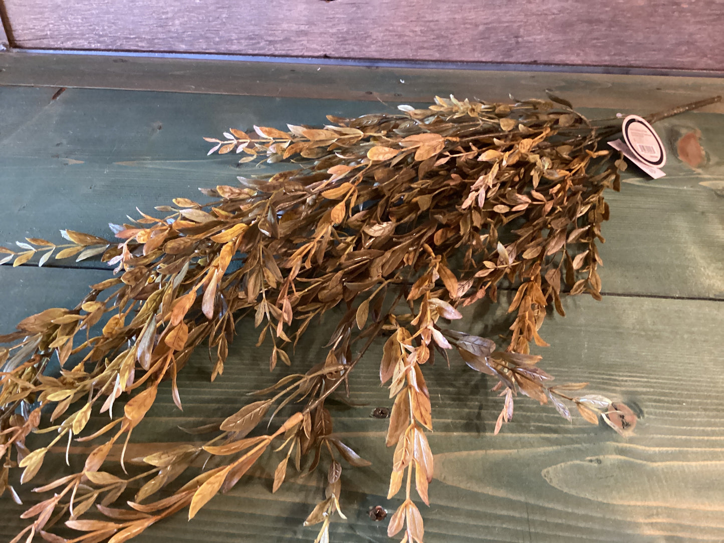 Box Leaf Hanging Bush