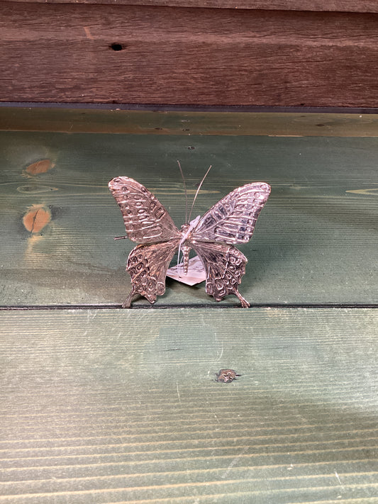Silver Butterfly (med)