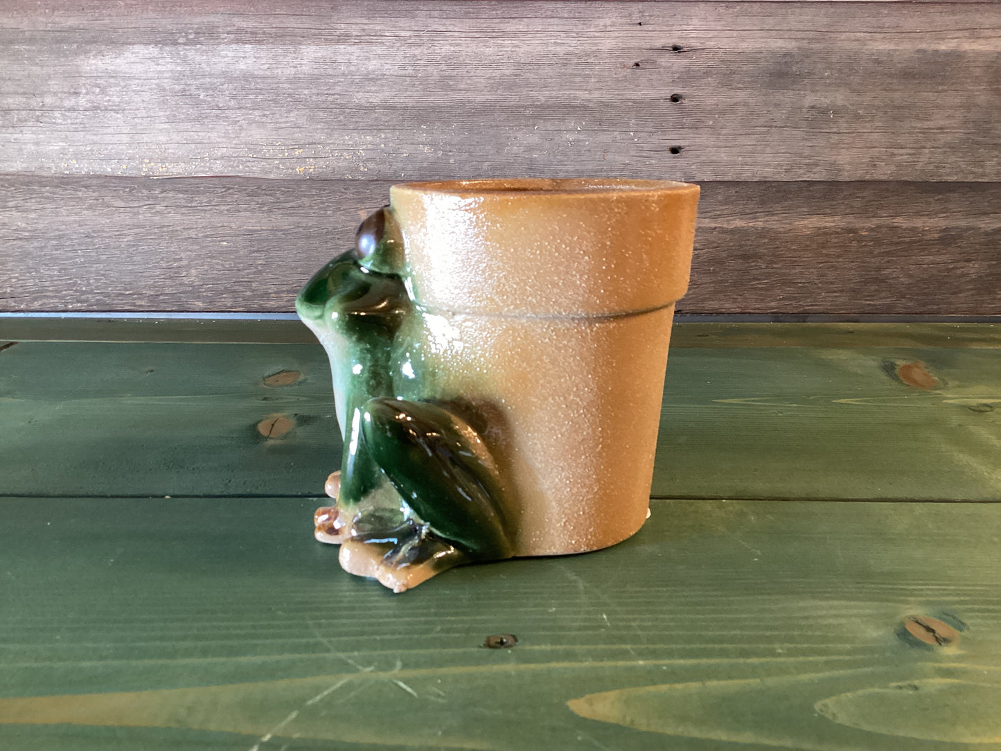 Frog Planter