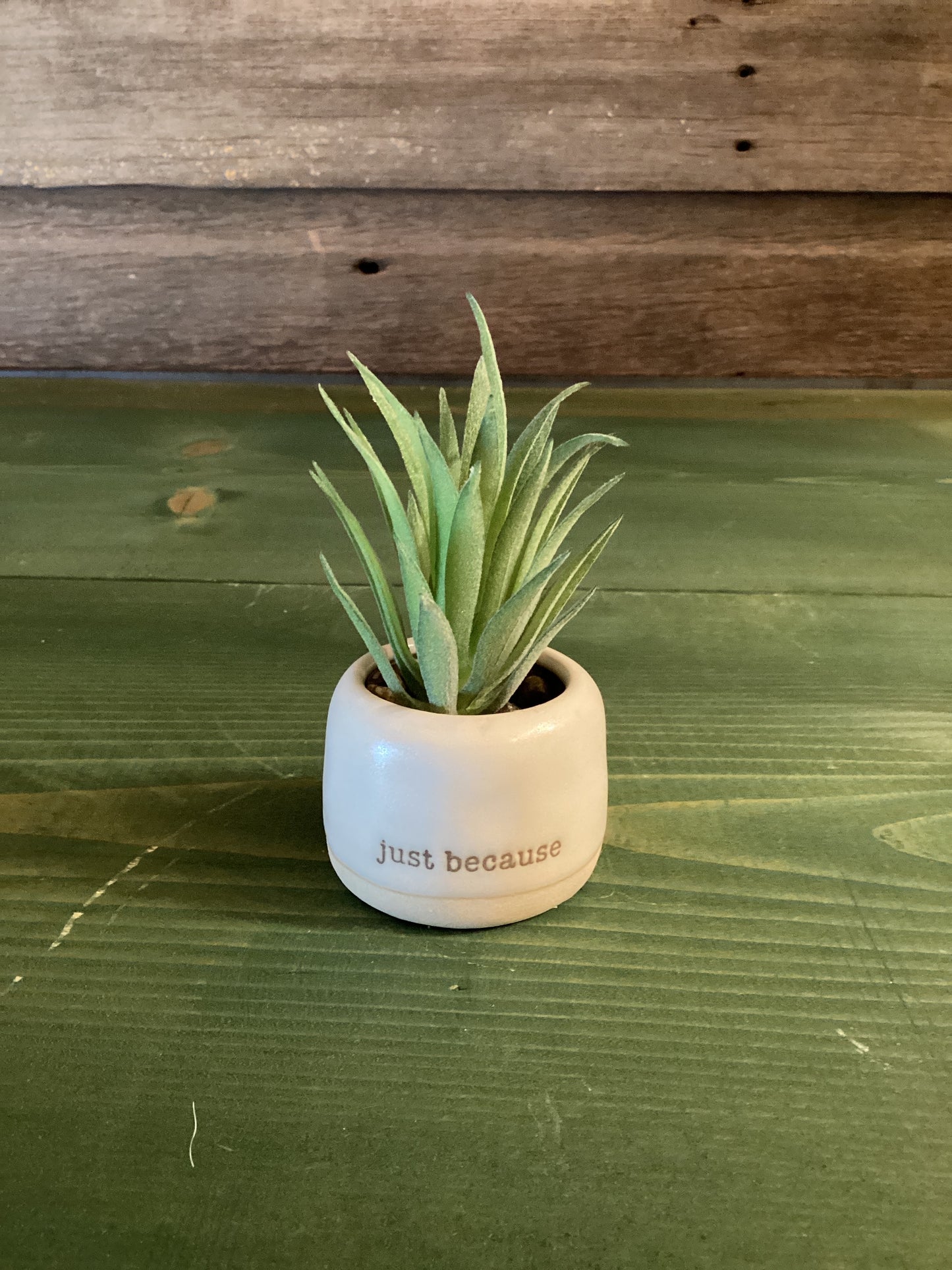 Mini Succulent Thinking of You Just Because