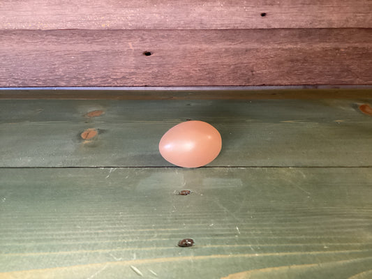 Farm Eggs Resin