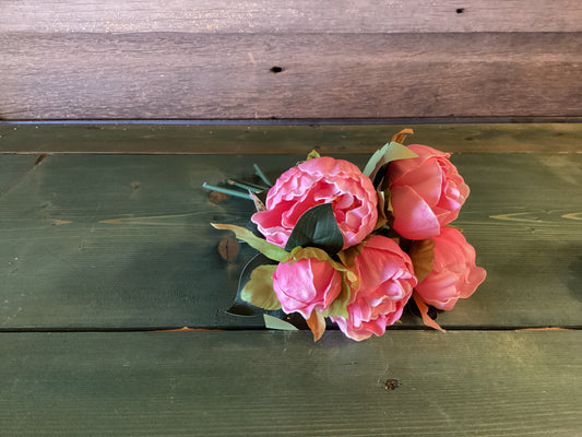 Feel Real Peony Bundle