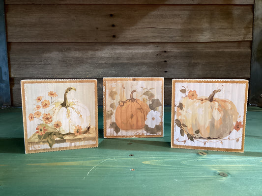 Painted Pumpkin Blocks