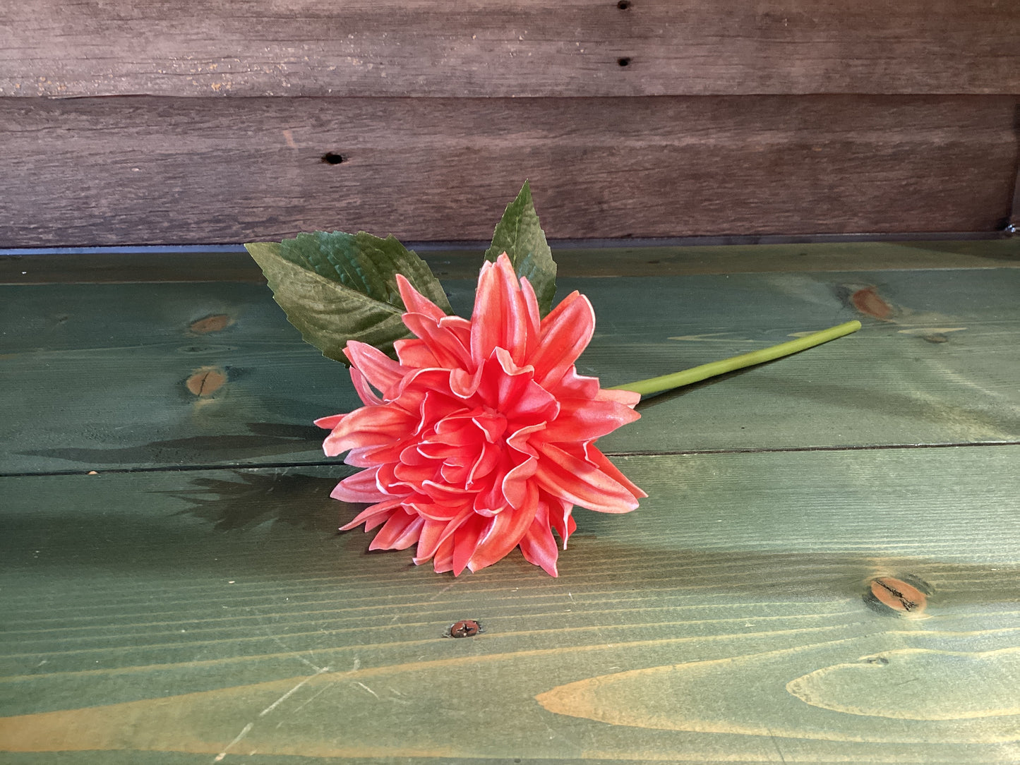 Feel Real Dahlia Coral